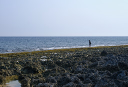 Houshi Shore // 厚石海岸